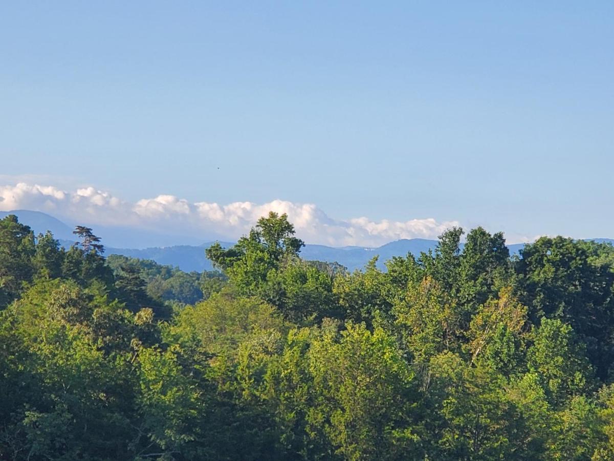 Huny Bear Lodge Pigeon Forge Extérieur photo